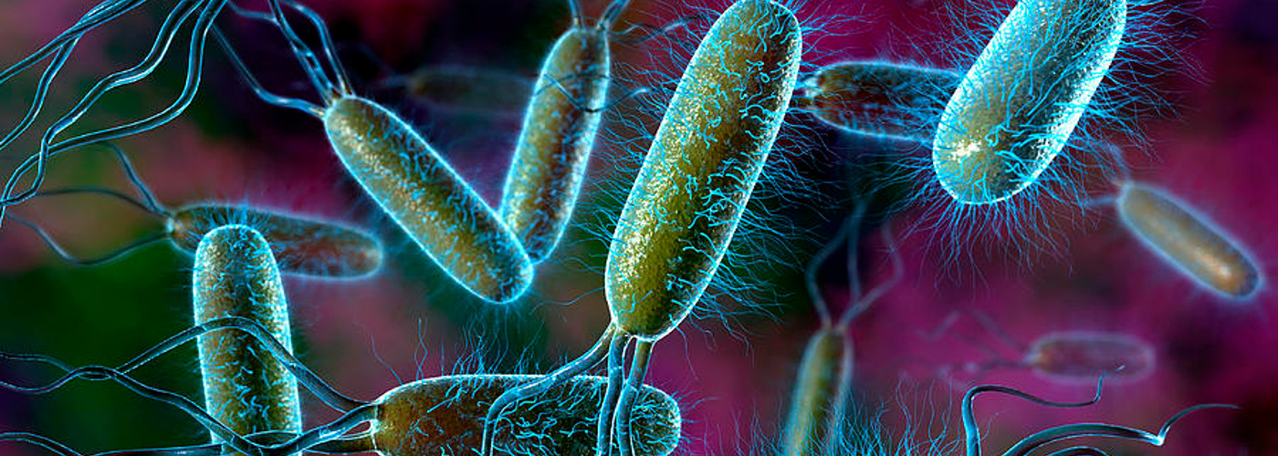 bakterie i wirusy kolorowe